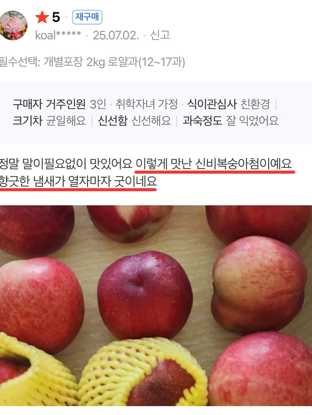 매실청 13