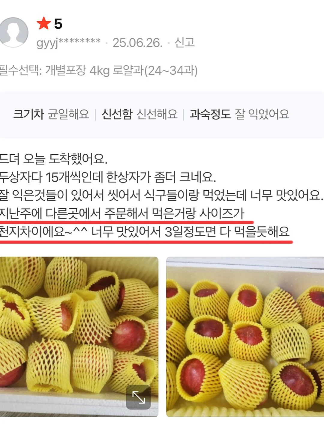 매실청 16