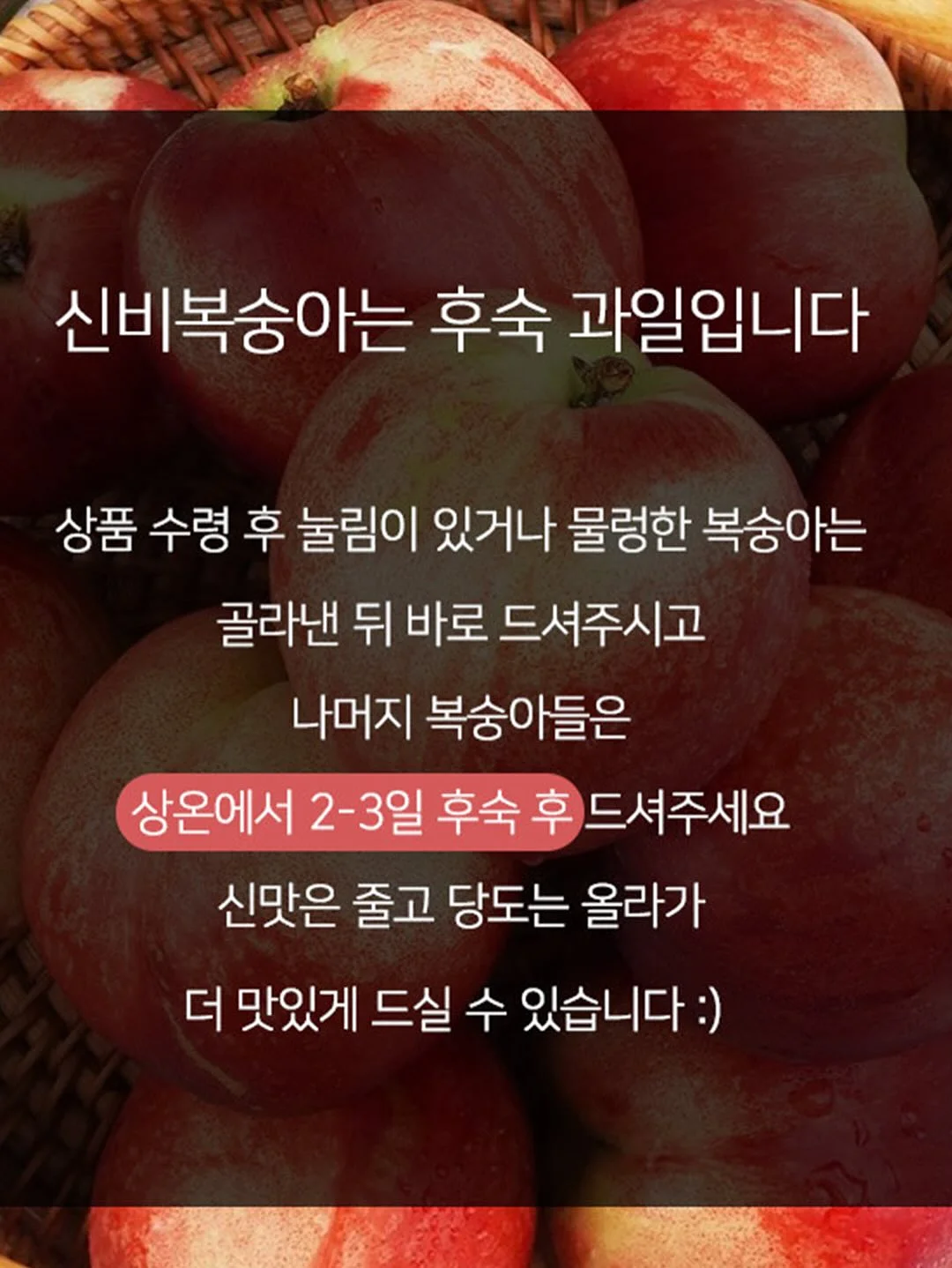 매실청 20