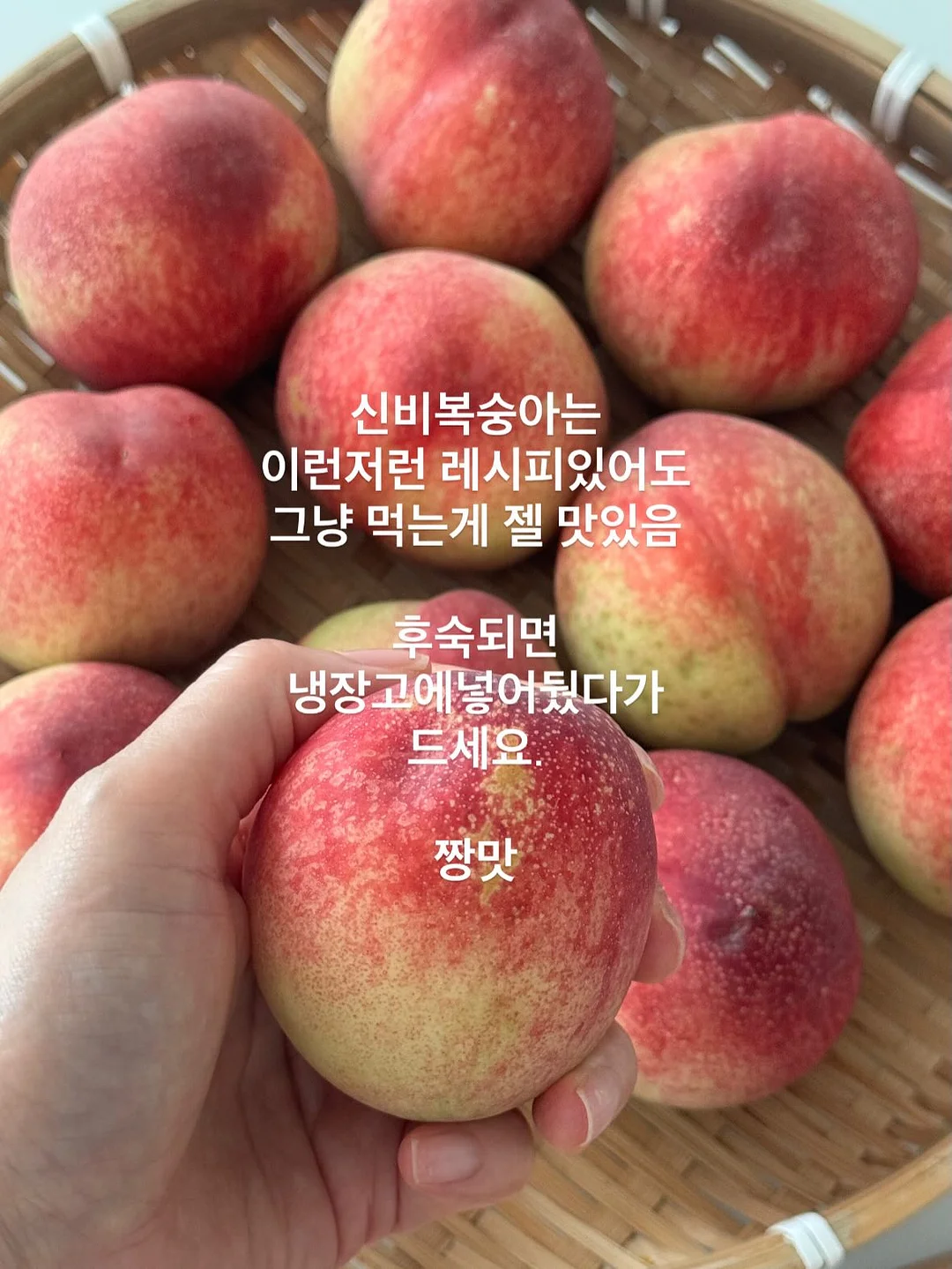 매실청 3