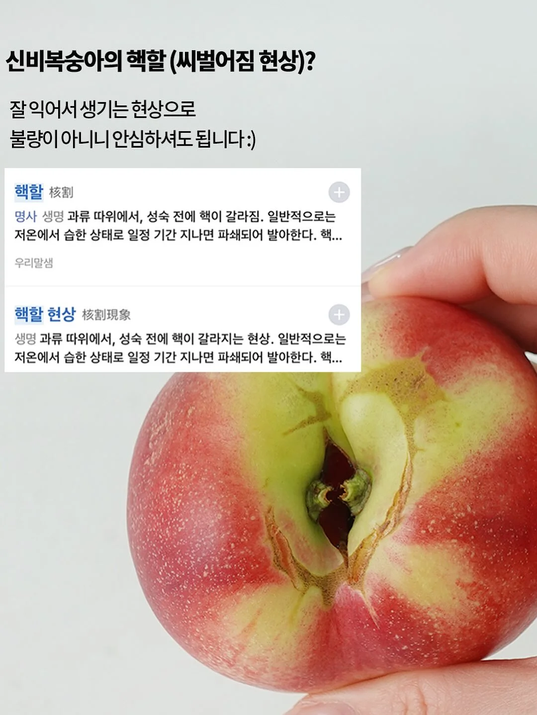 매실청 6