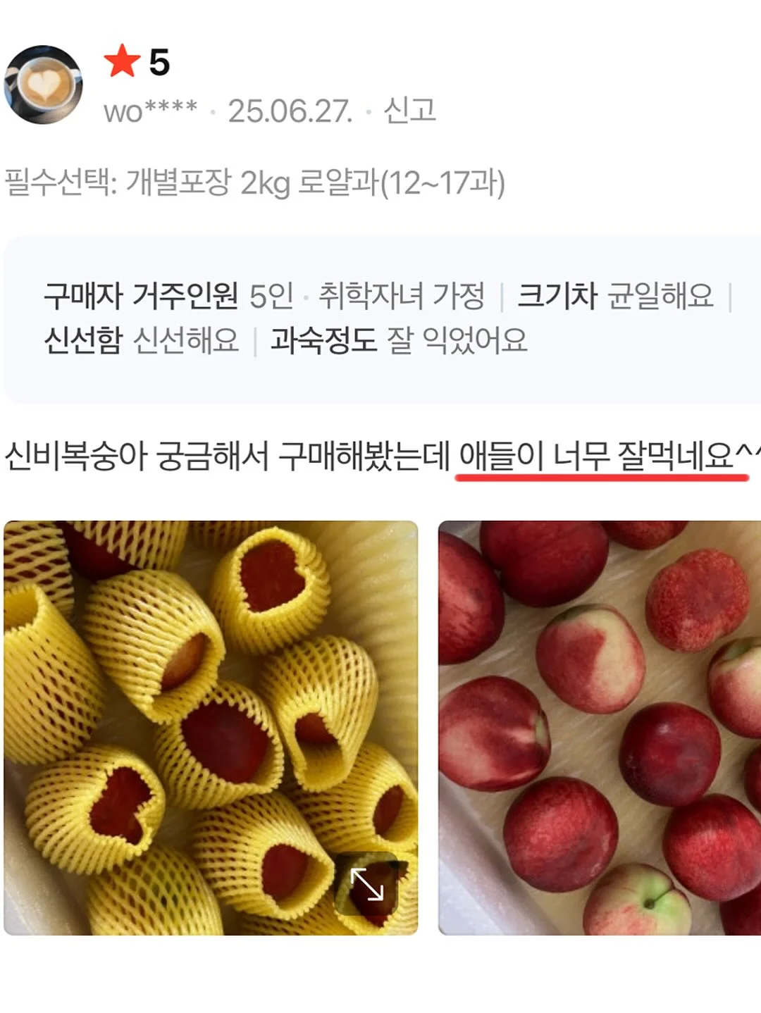 매실청 9