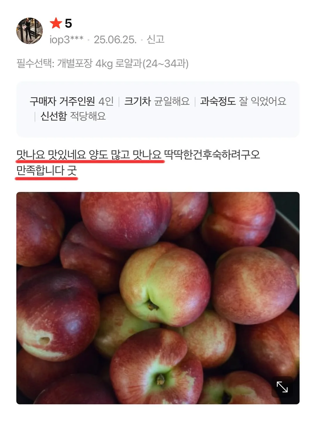 매실청 10