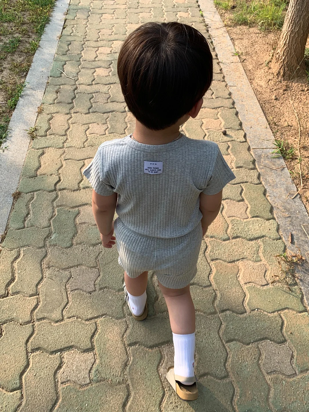 테리 노트 수트 핑크노트 14