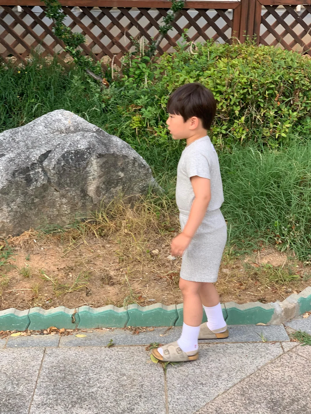 테리 노트 수트 핑크노트 18