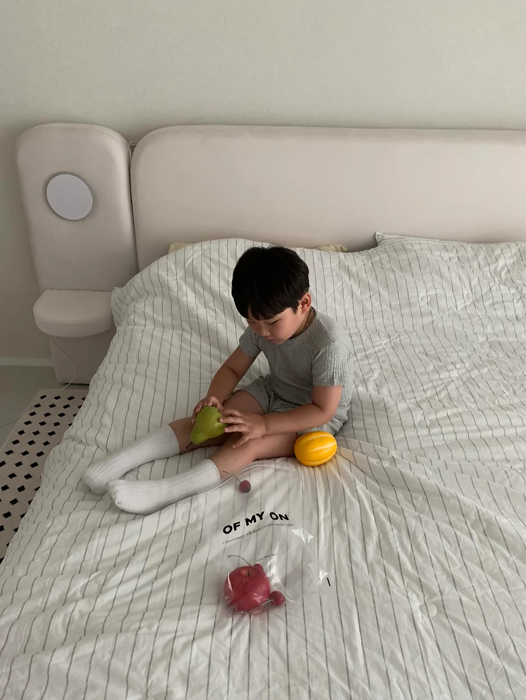 테리 노트 수트 핑크노트 5