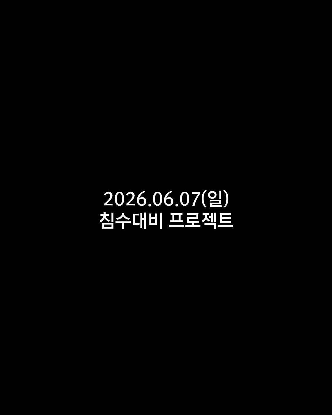 코스트코 팟타이 누들 키트 2
