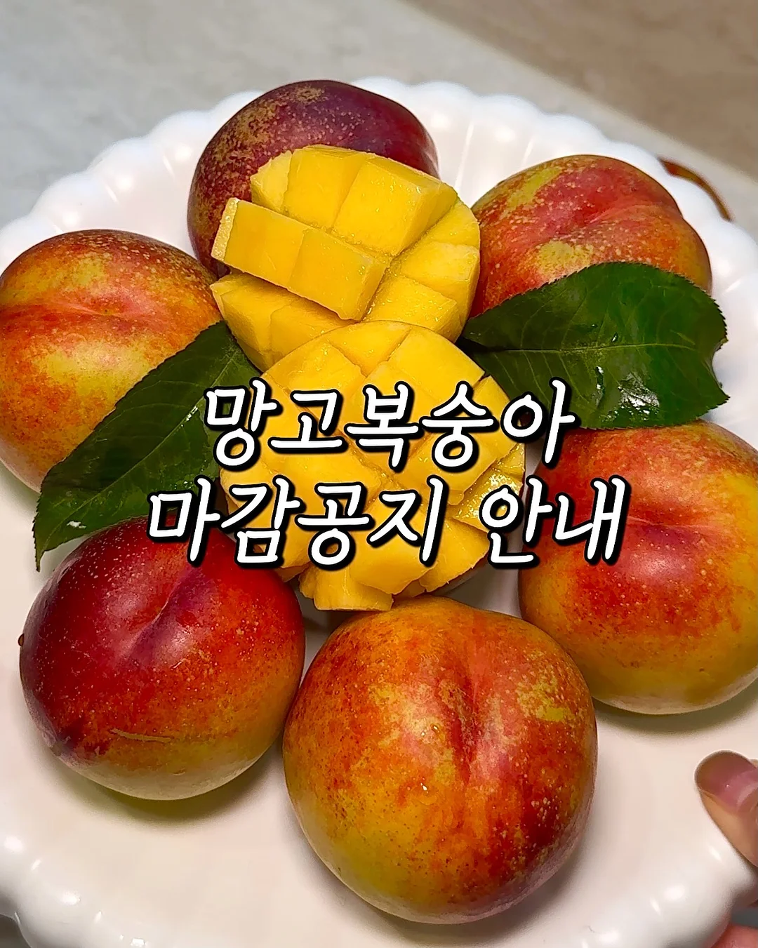 가족사진 촬영 1