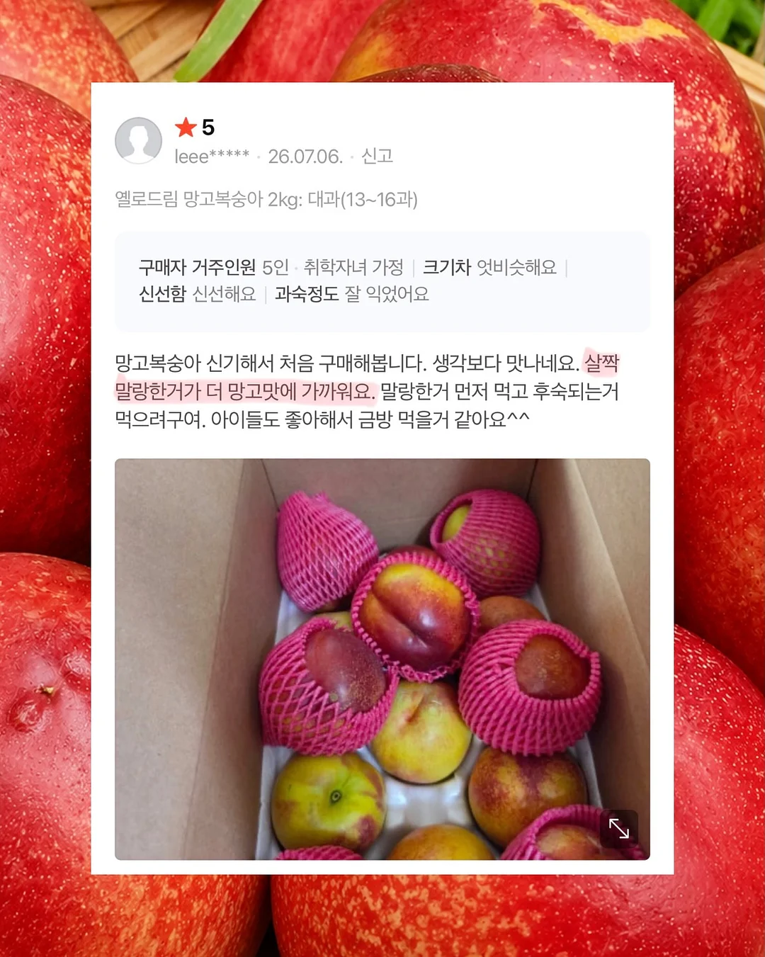가족사진 촬영 17