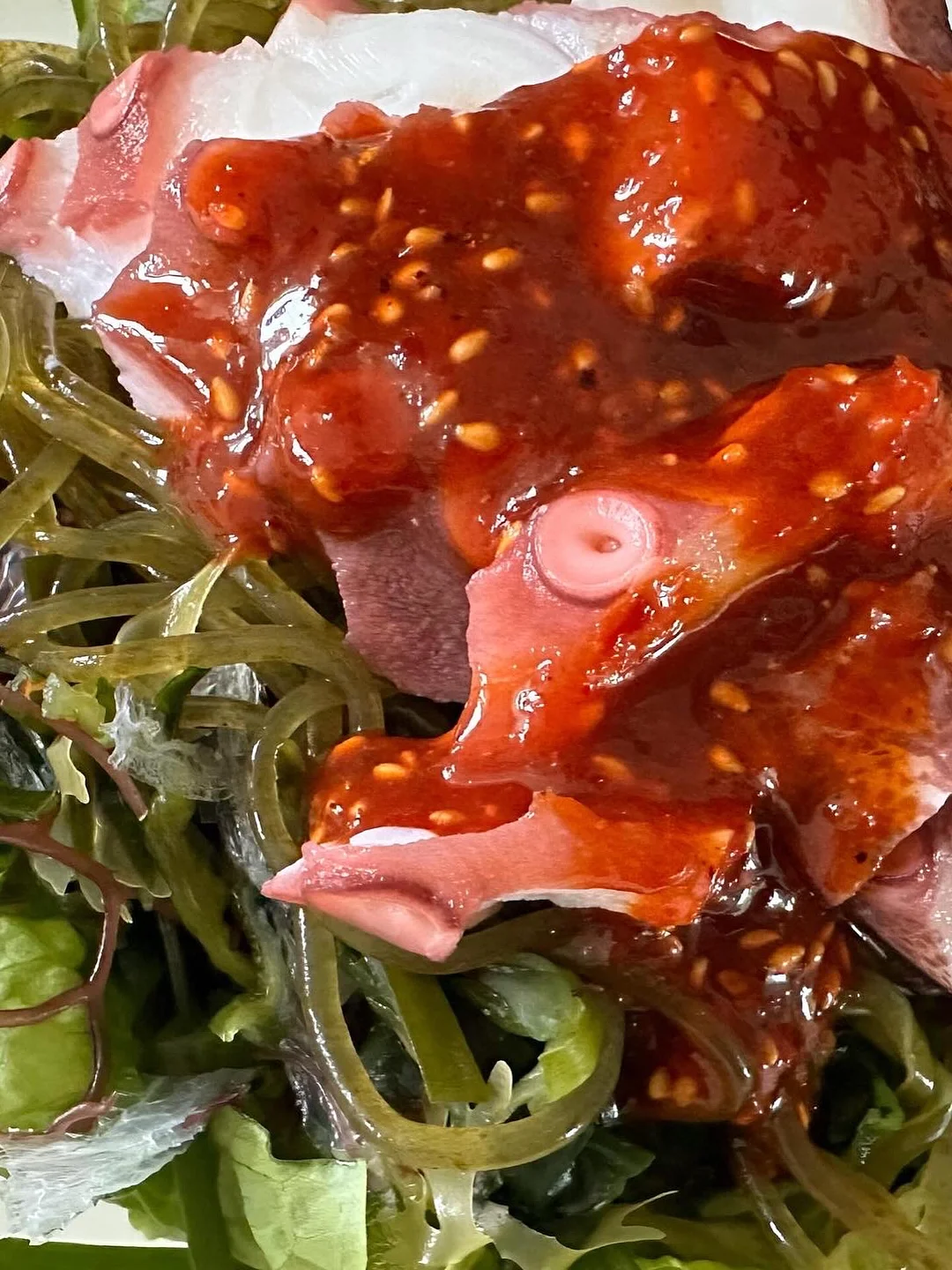 젖병 텀블러 약병 전기포트 세척제 19