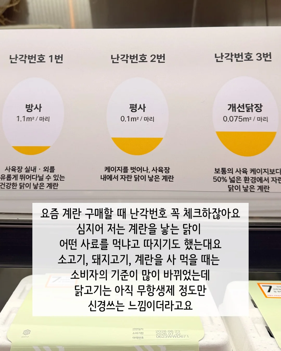 타로오레오 샌드 3