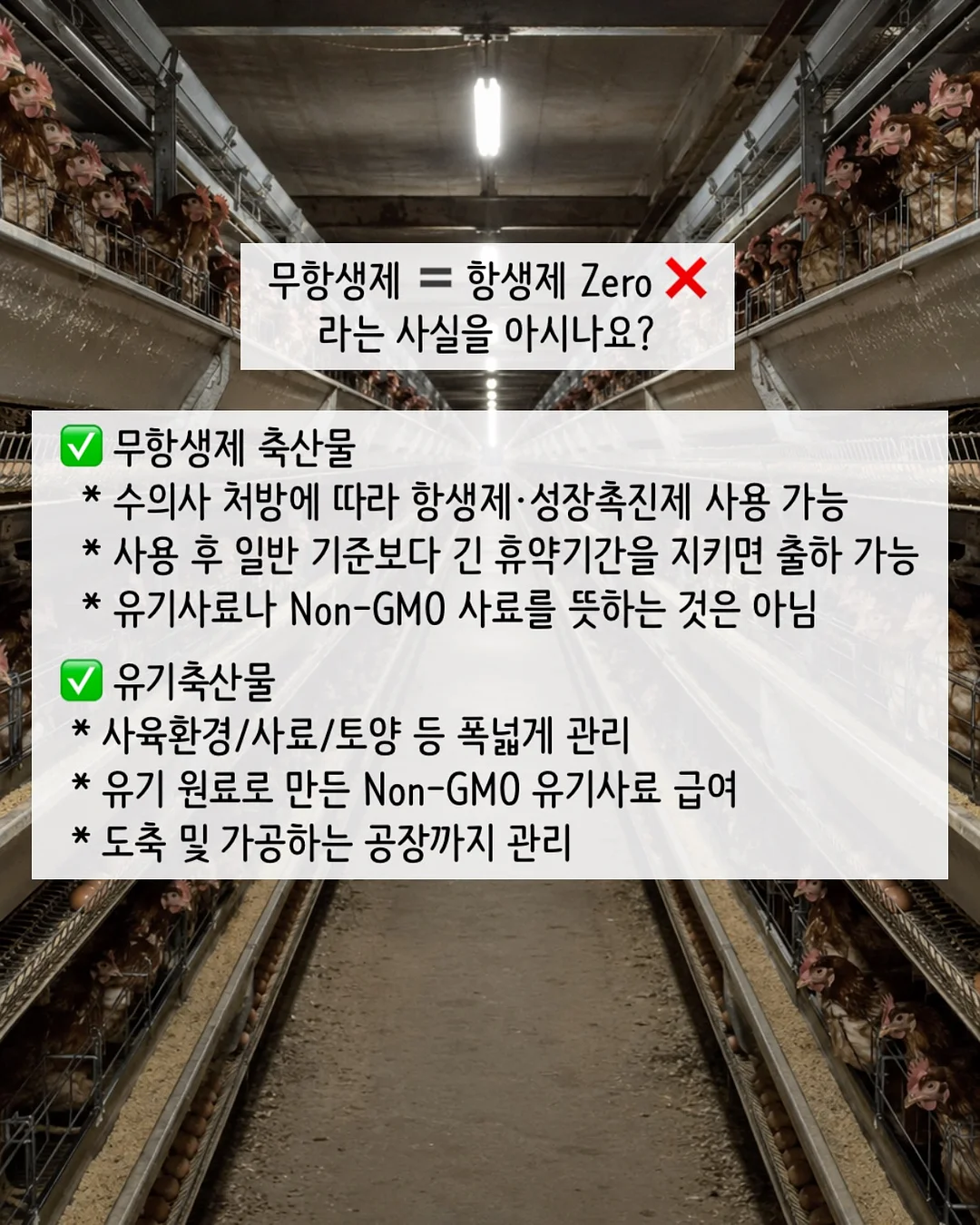 타로오레오 샌드 4