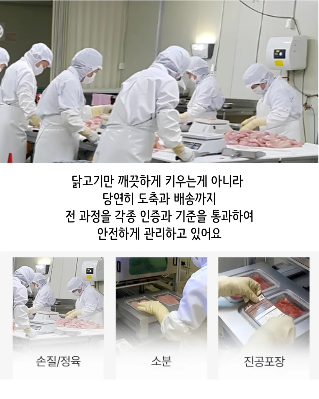 타로오레오 샌드 10