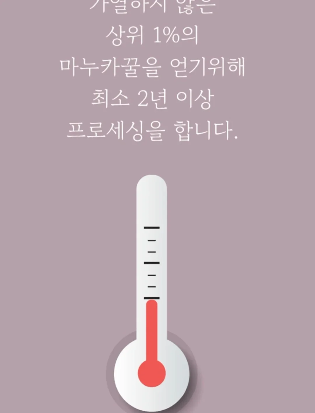 쫀쿠 11