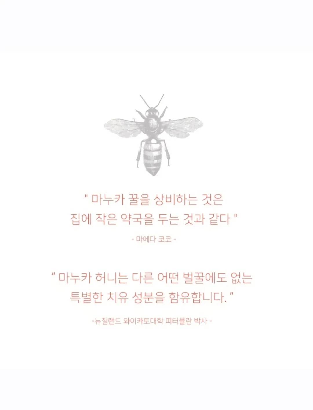 쫀쿠 13
