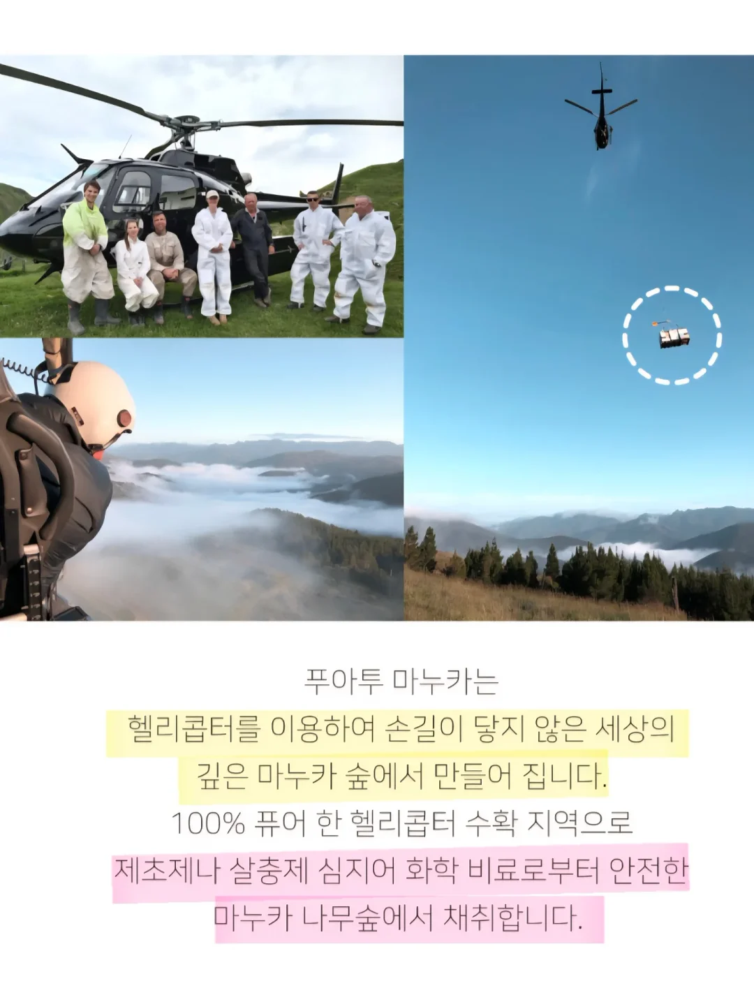 쫀쿠 6
