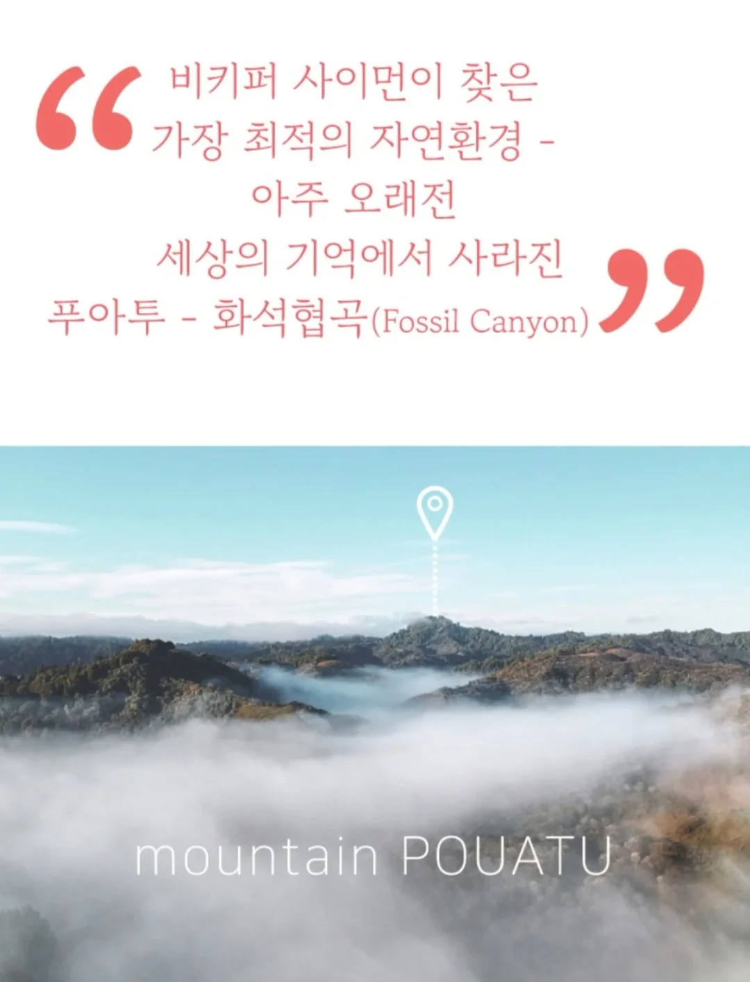 쫀쿠 8