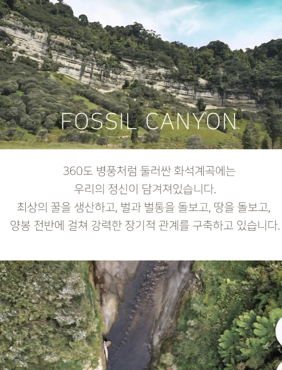 쫀쿠 9