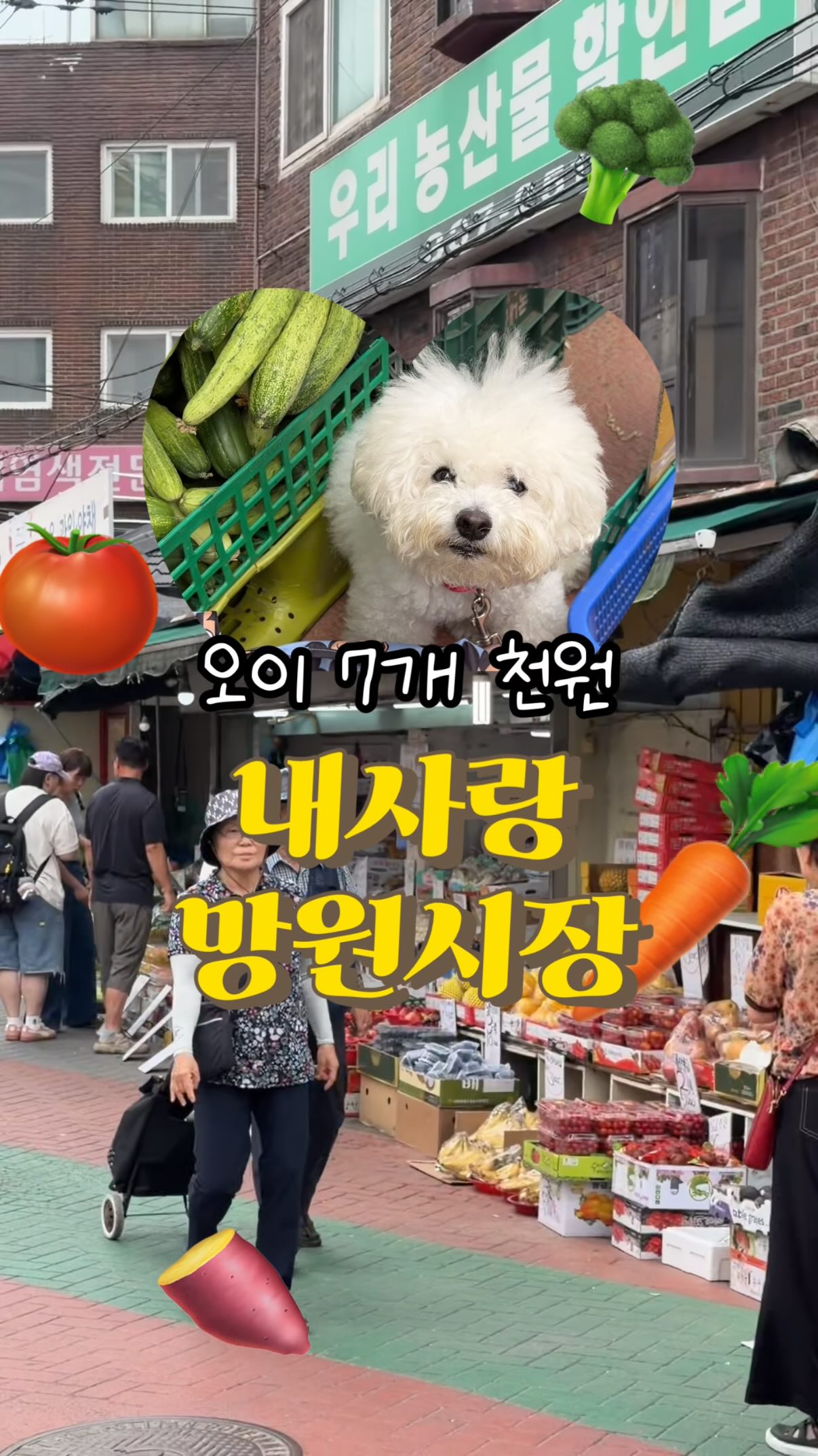필립 예니카 기획전: 럭키 럭키 럭키 전시 티켓