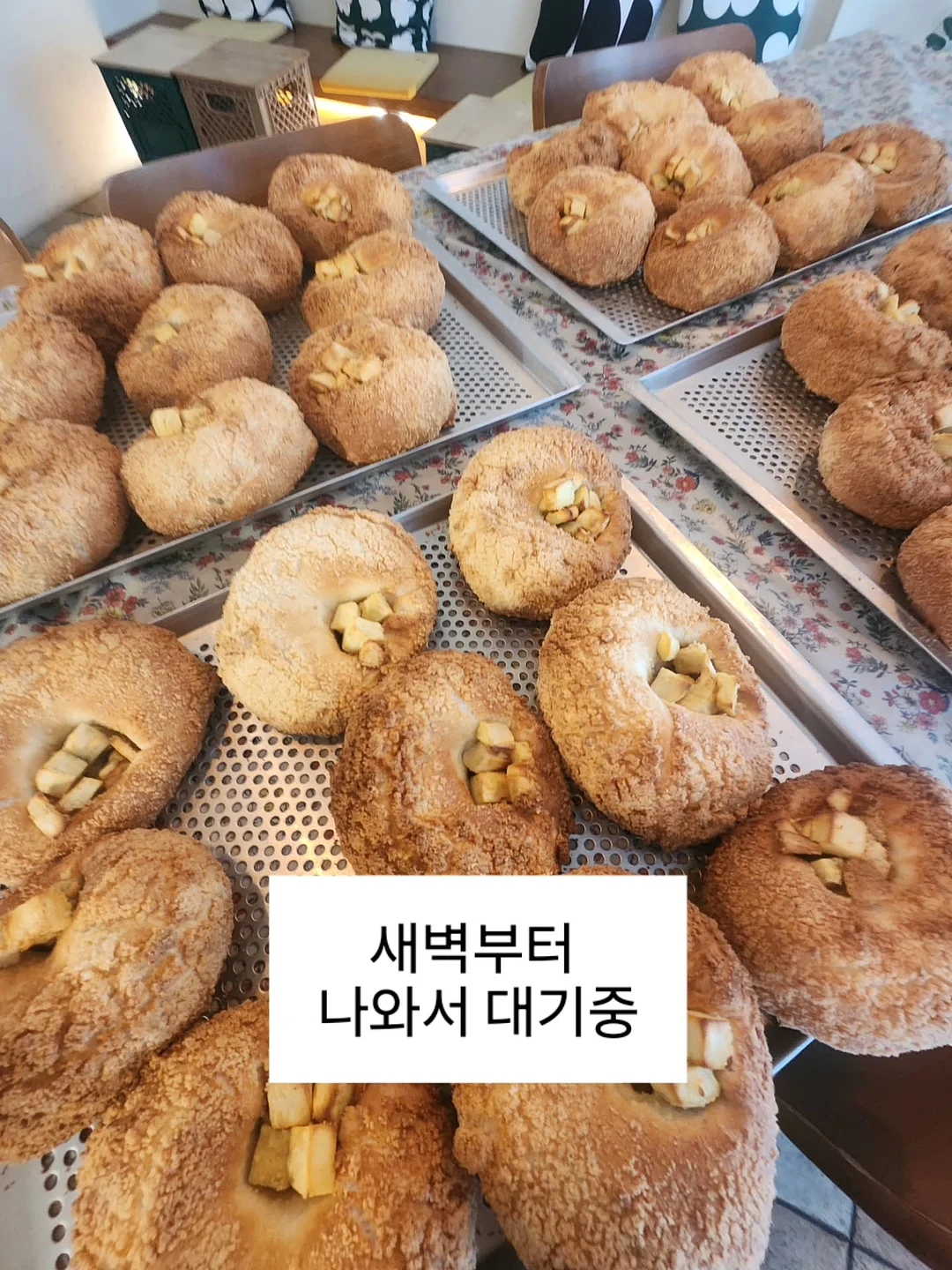 유넥 골지 굴림 반팔티 11