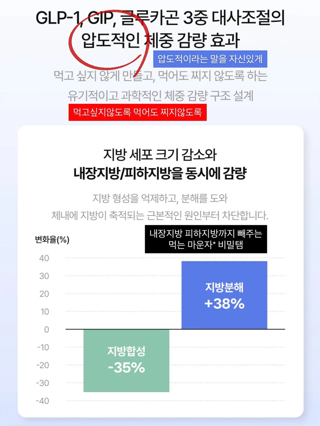 가디건 세트 4