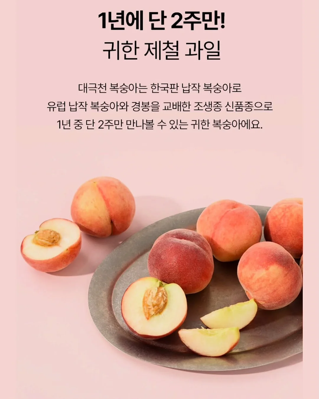 멘딩, 코바늘 원데이 클래스 8