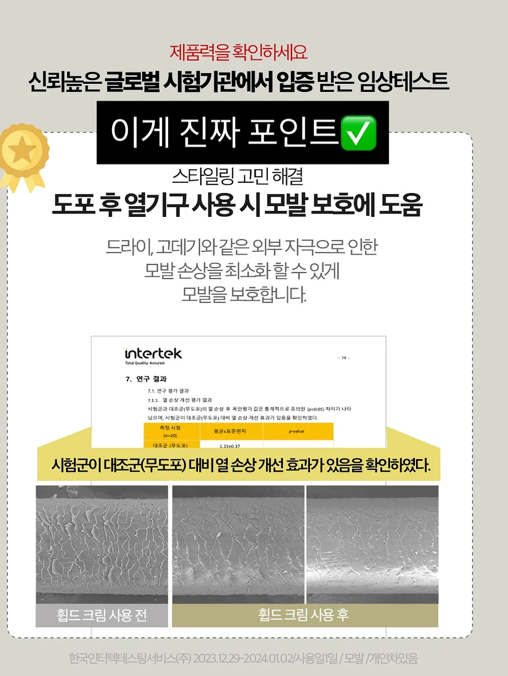 보석금전수 화분 14