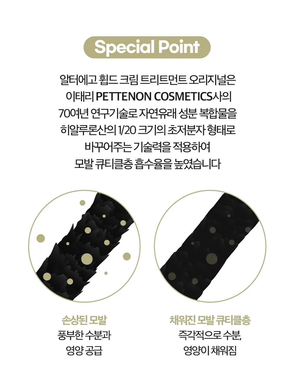 보석금전수 화분 15
