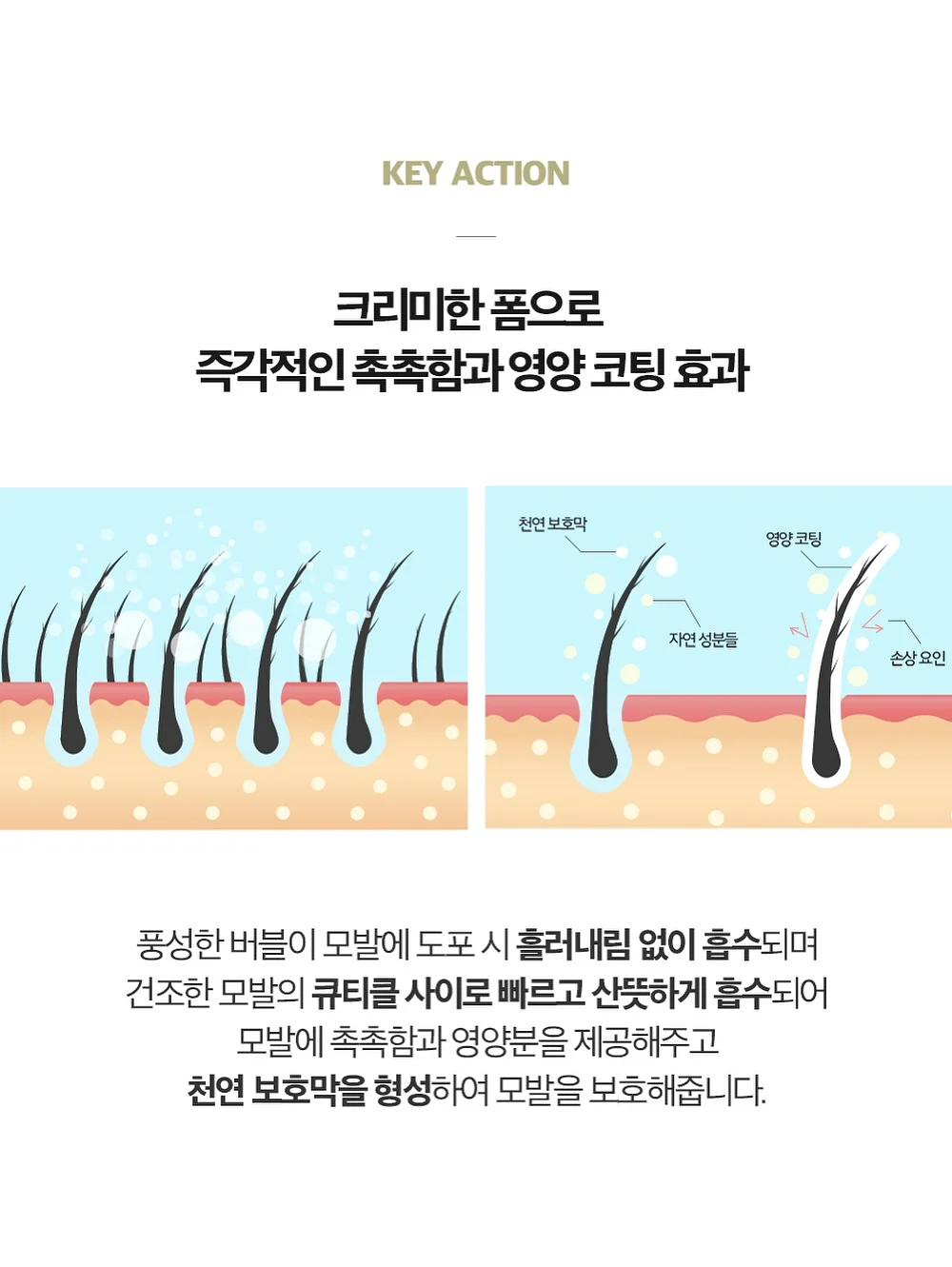 보석금전수 화분 16