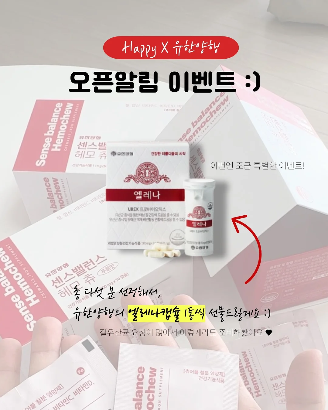 오렌지 초콜릿 9