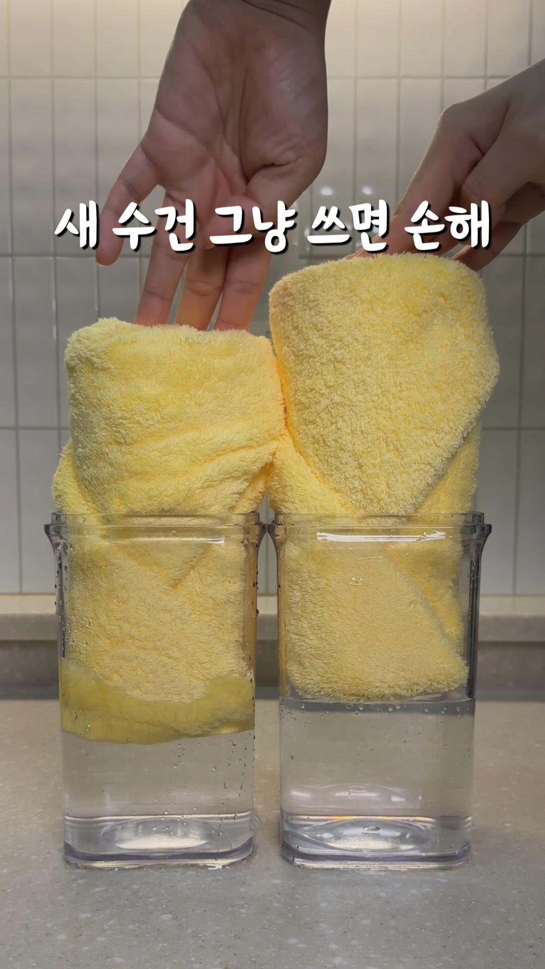 일본 희귀 품종 포도