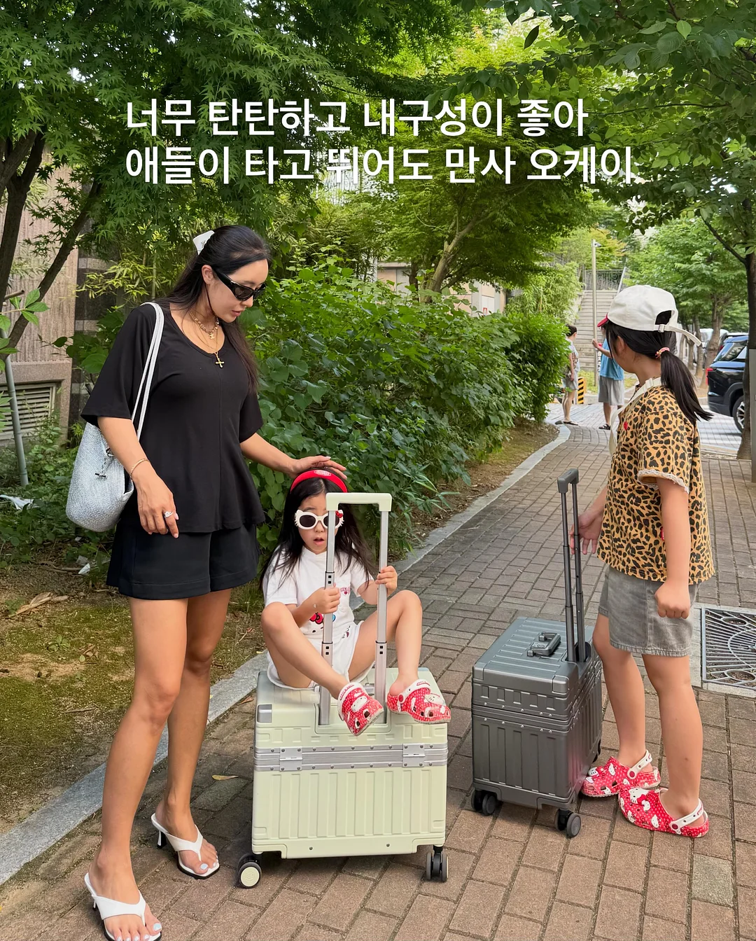 오아팩 6