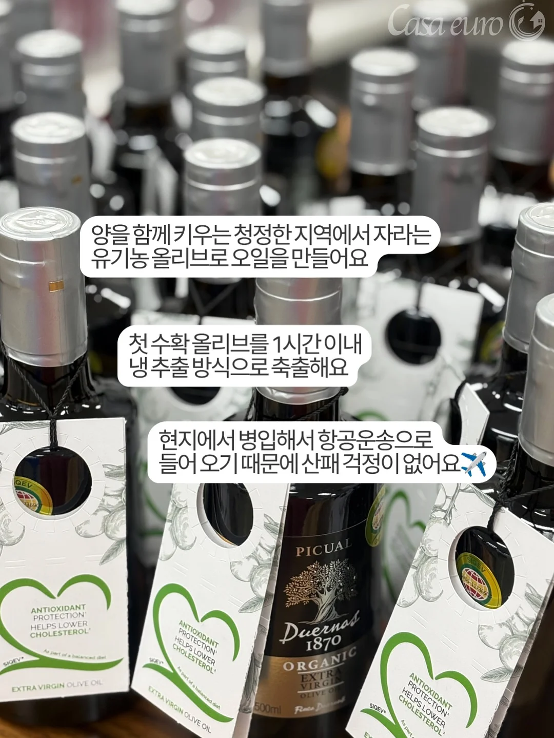 남아 여름 코디 세트 13