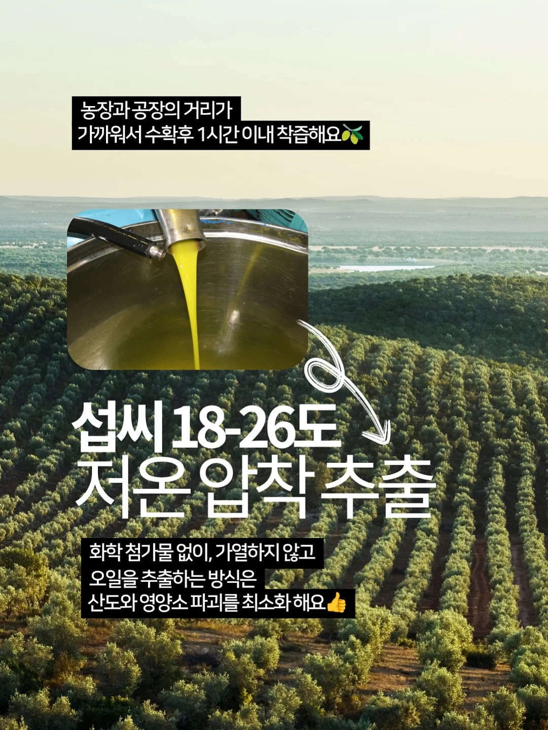 남아 여름 코디 세트 16