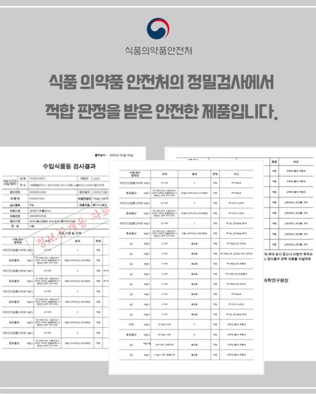 강아지 우산 10