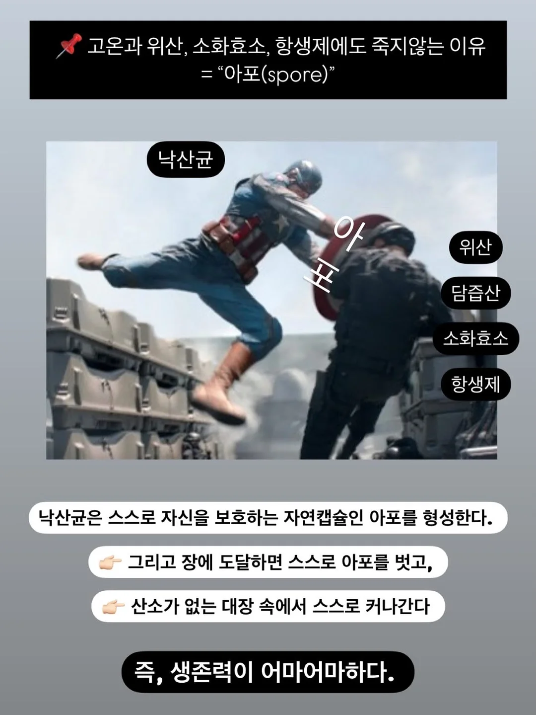 꽃 상품 11