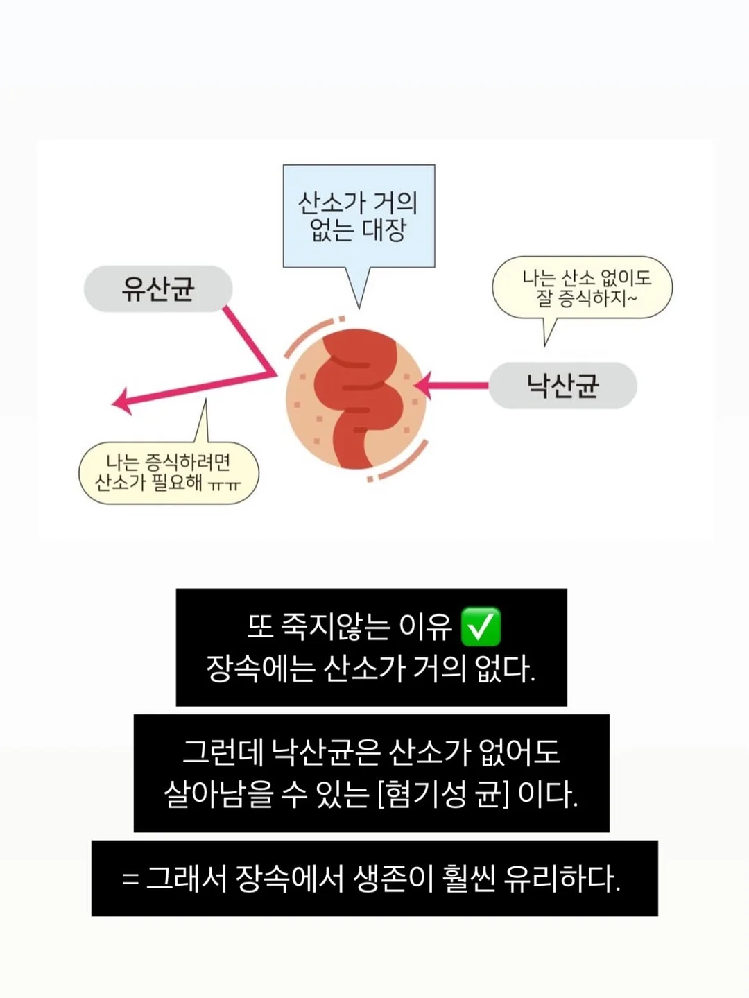 꽃 상품 12