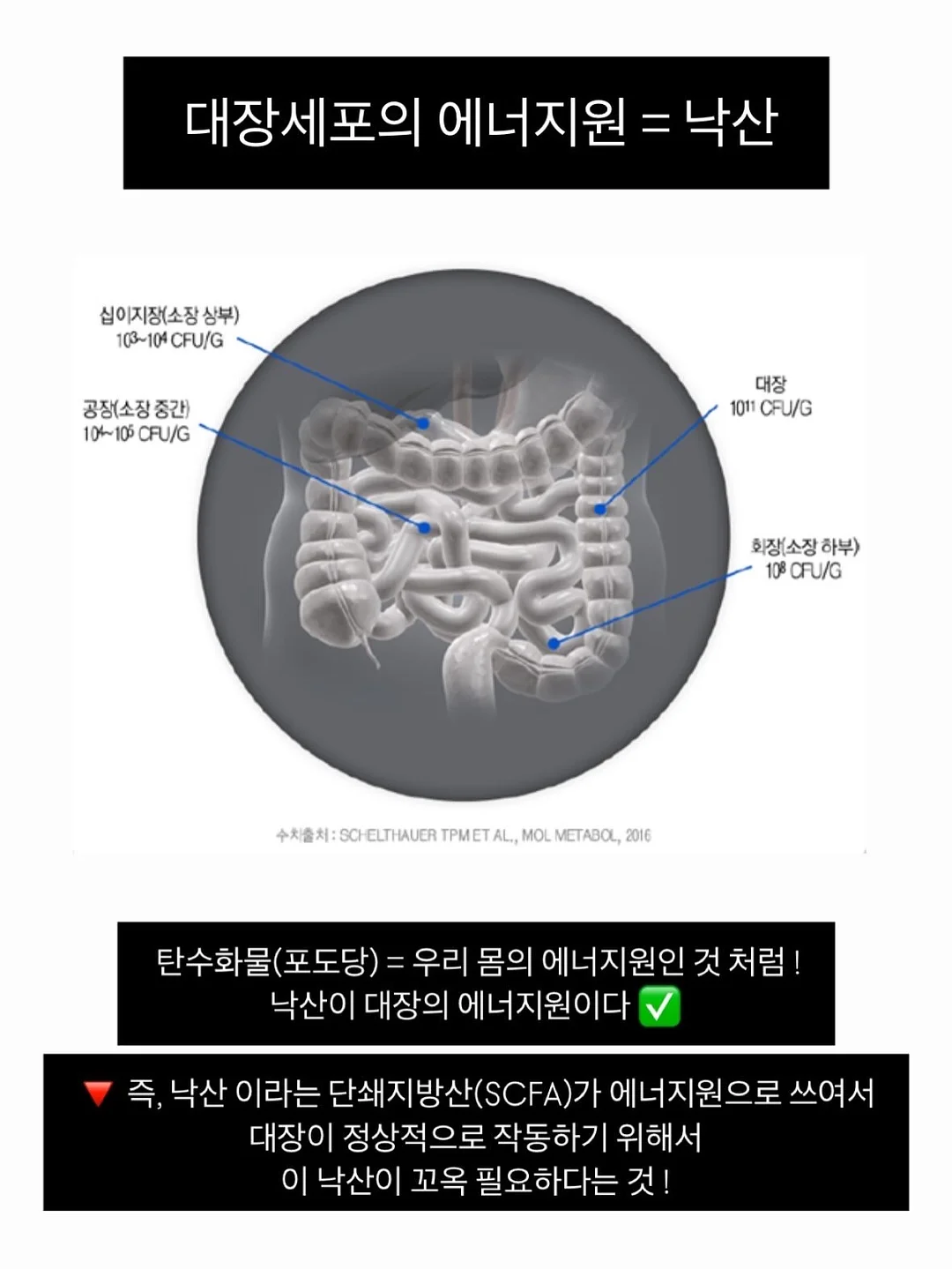 꽃 상품 13