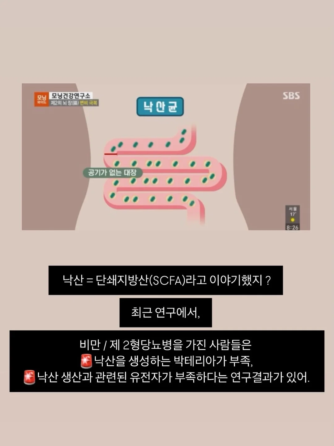 꽃 상품 15