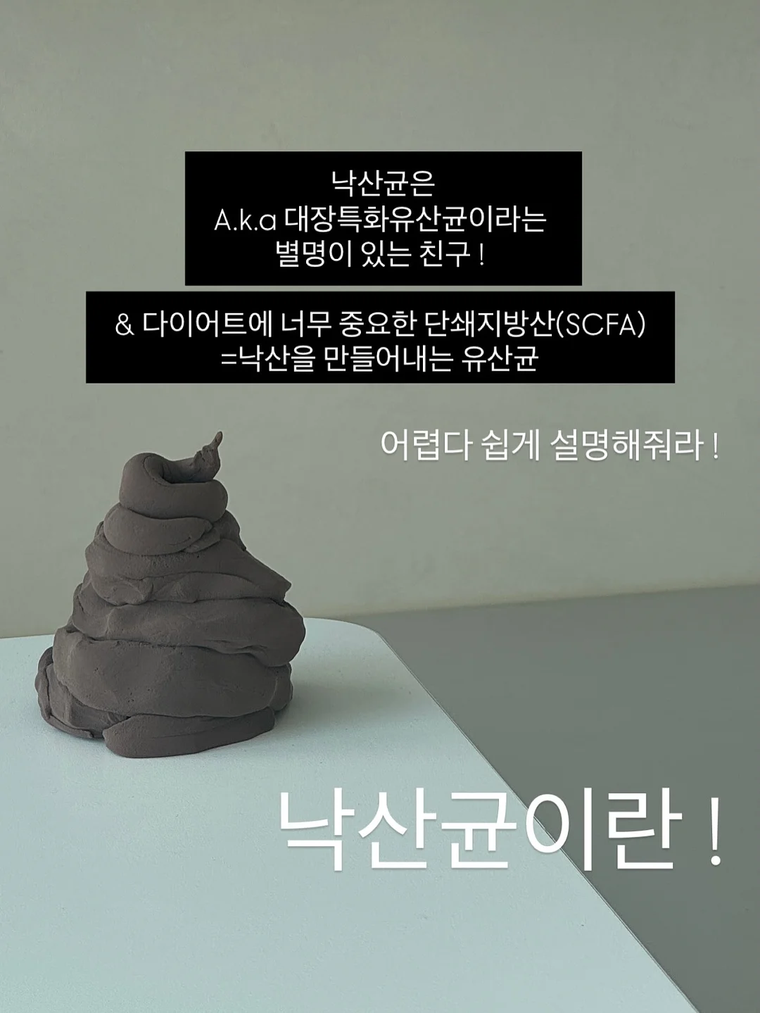 꽃 상품 6