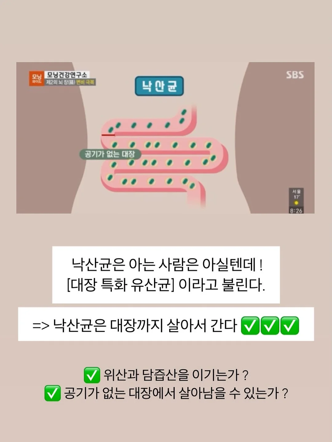 꽃 상품 8