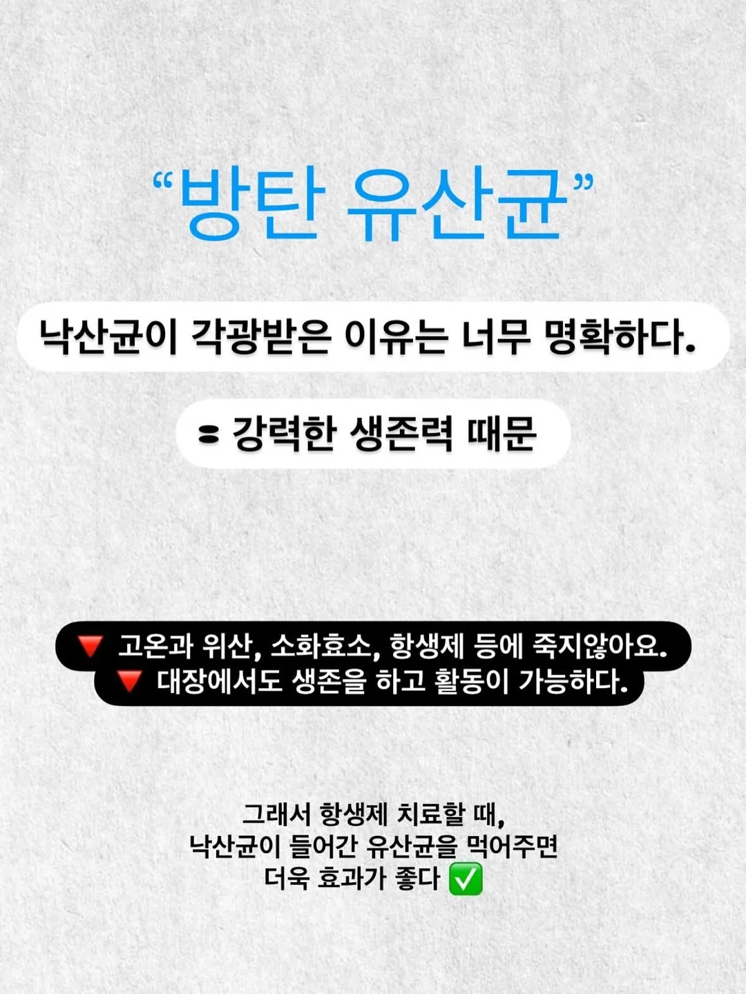 꽃 상품 10