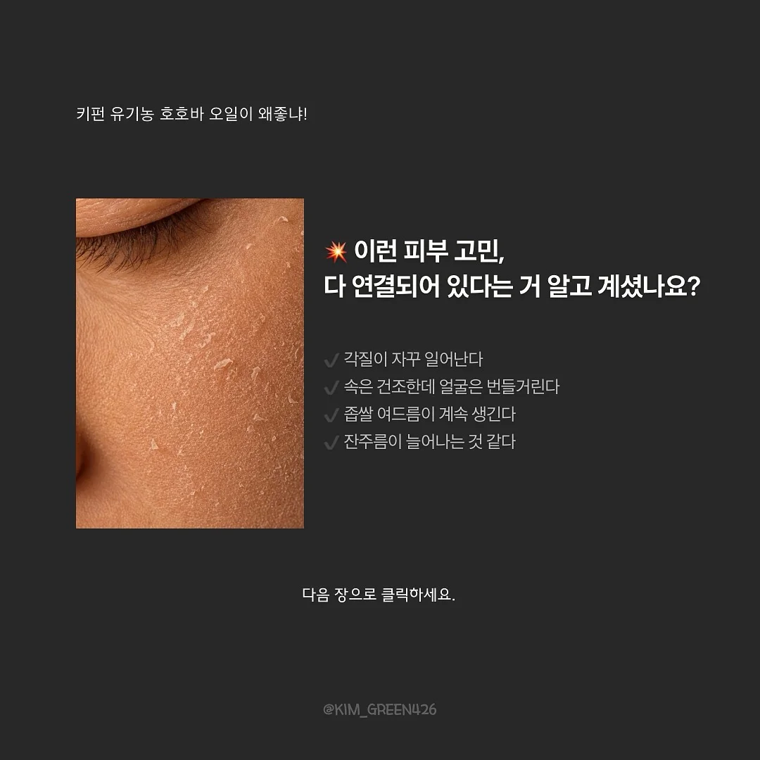 치아바타 12