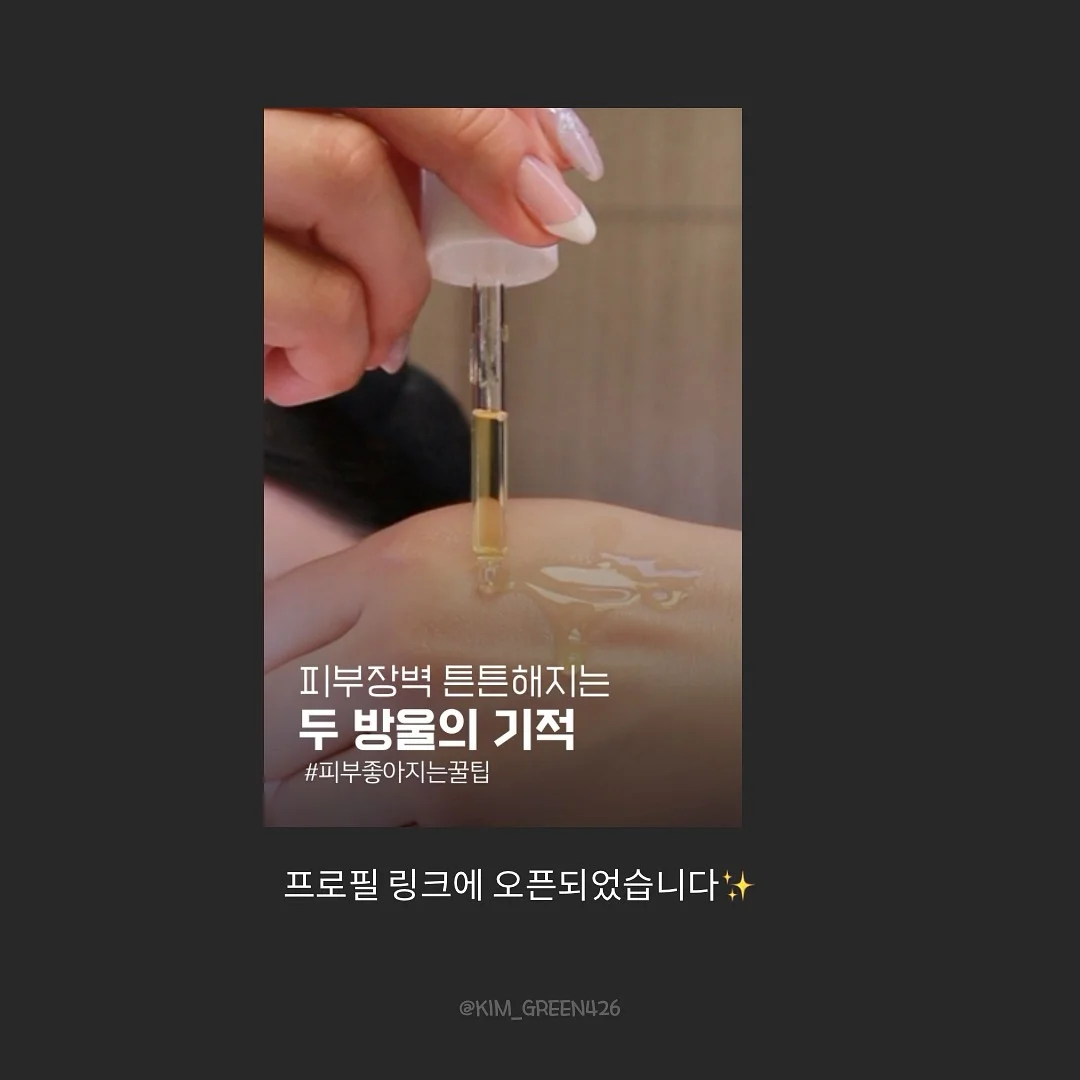 치아바타 13