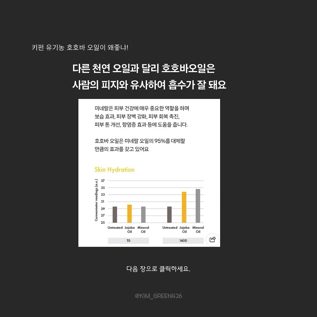 치아바타 9