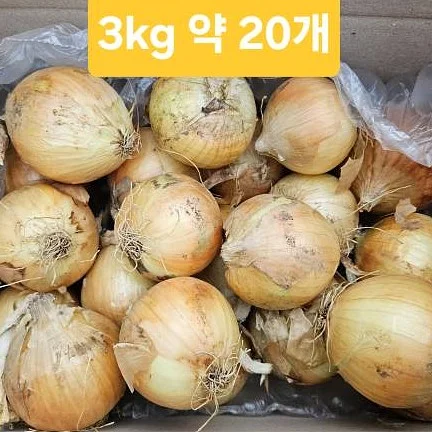 널담 슬랩 & 포카치아 8
