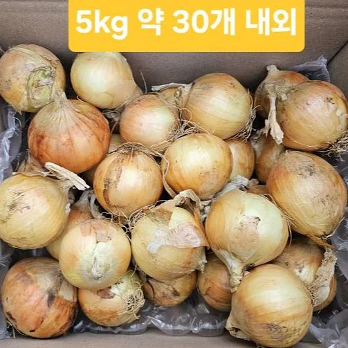 널담 슬랩 & 포카치아 9