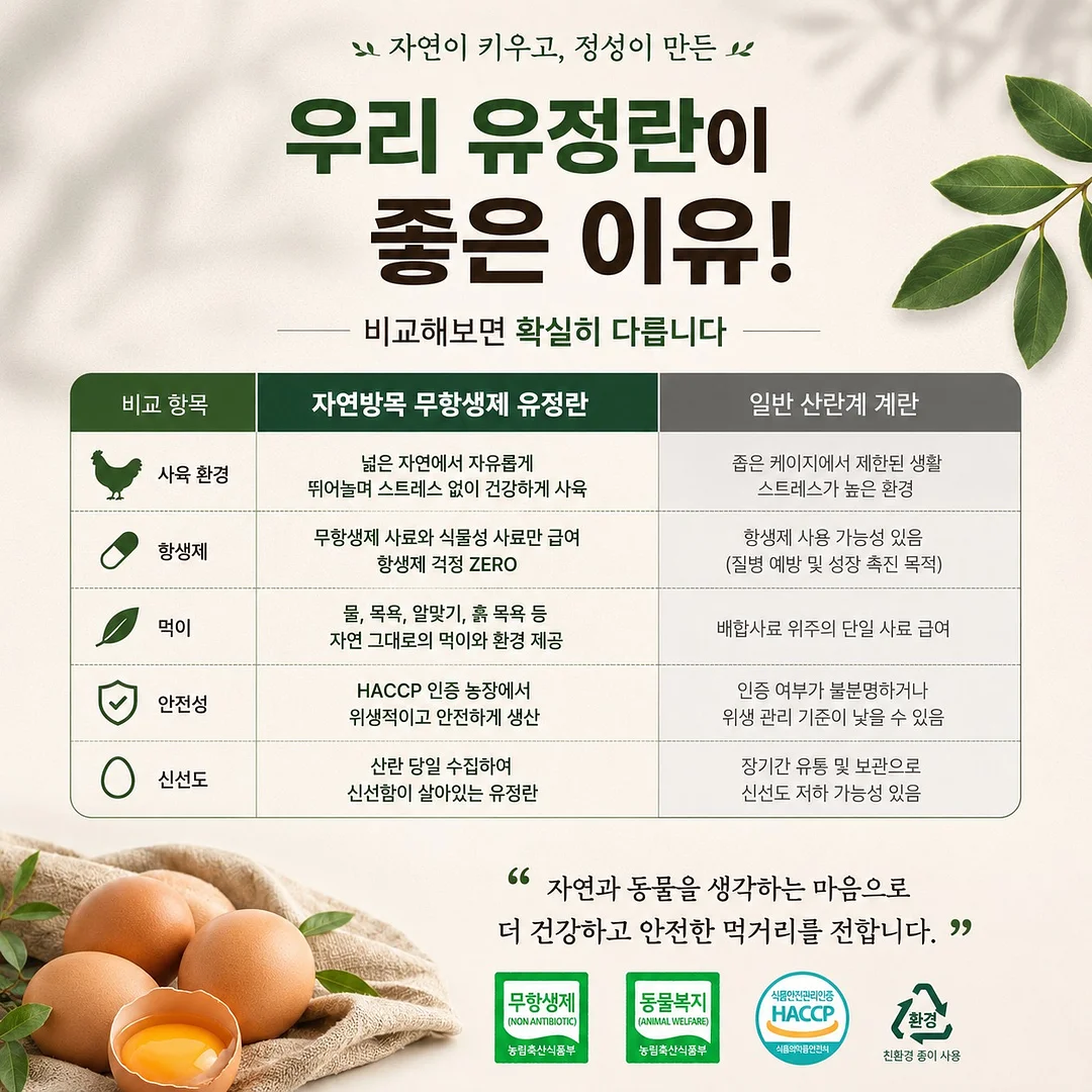 널담 슬랩 & 포카치아 10