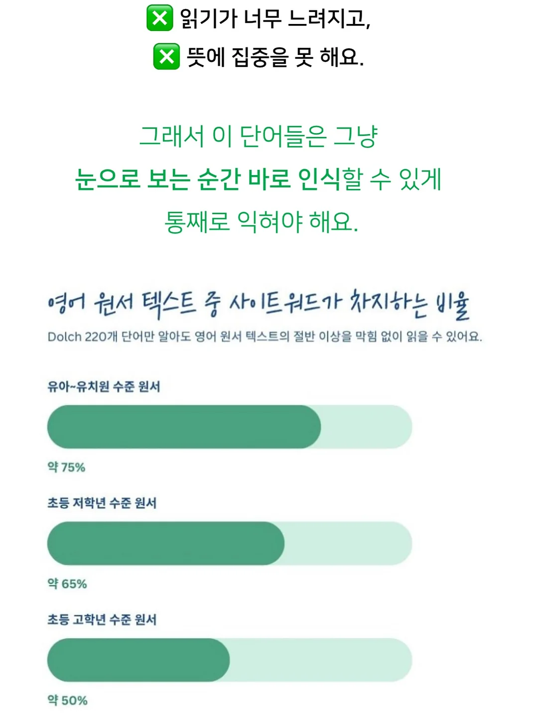 리본 메쉬 시스루 스니커즈 2컬러 2cm 3