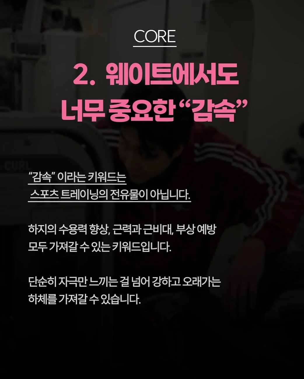 위티 레인판초 4